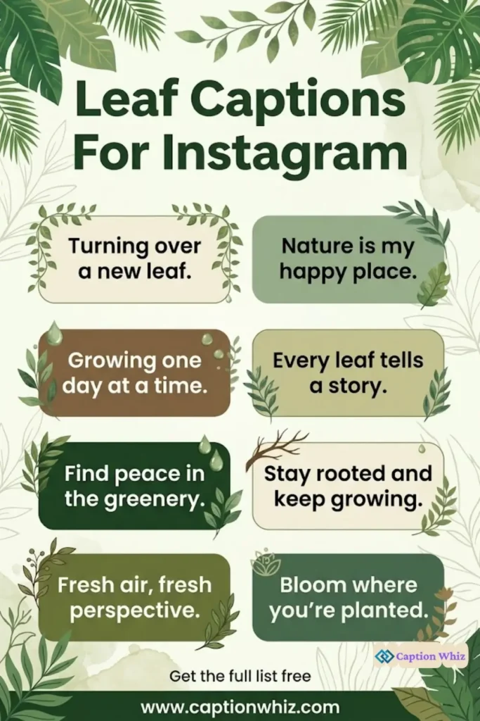 123+ Inspiring Leaf Captions For Instagram and Quotes to Brighten Your Feed
