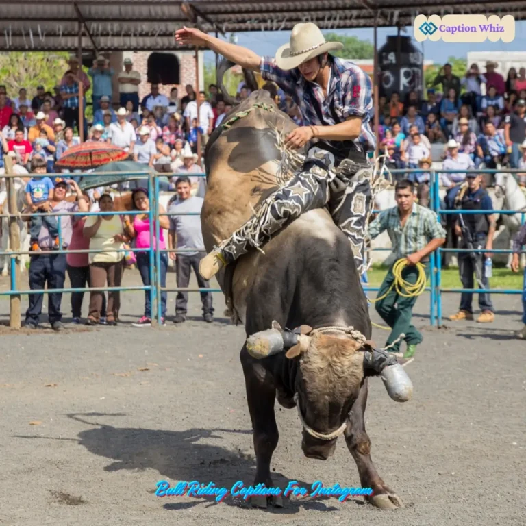 Bull Riding Captions For Instagram