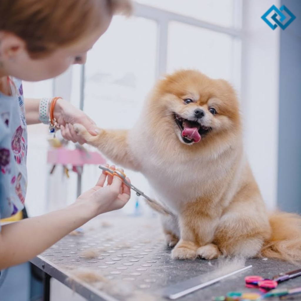 Dog Grooming Instagram Captions