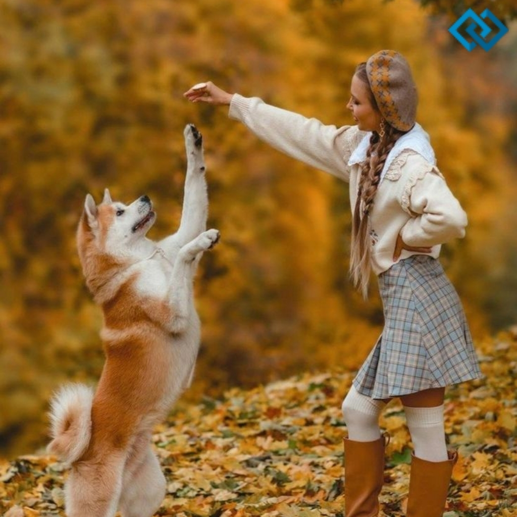 Fall Dog Instagram Captions