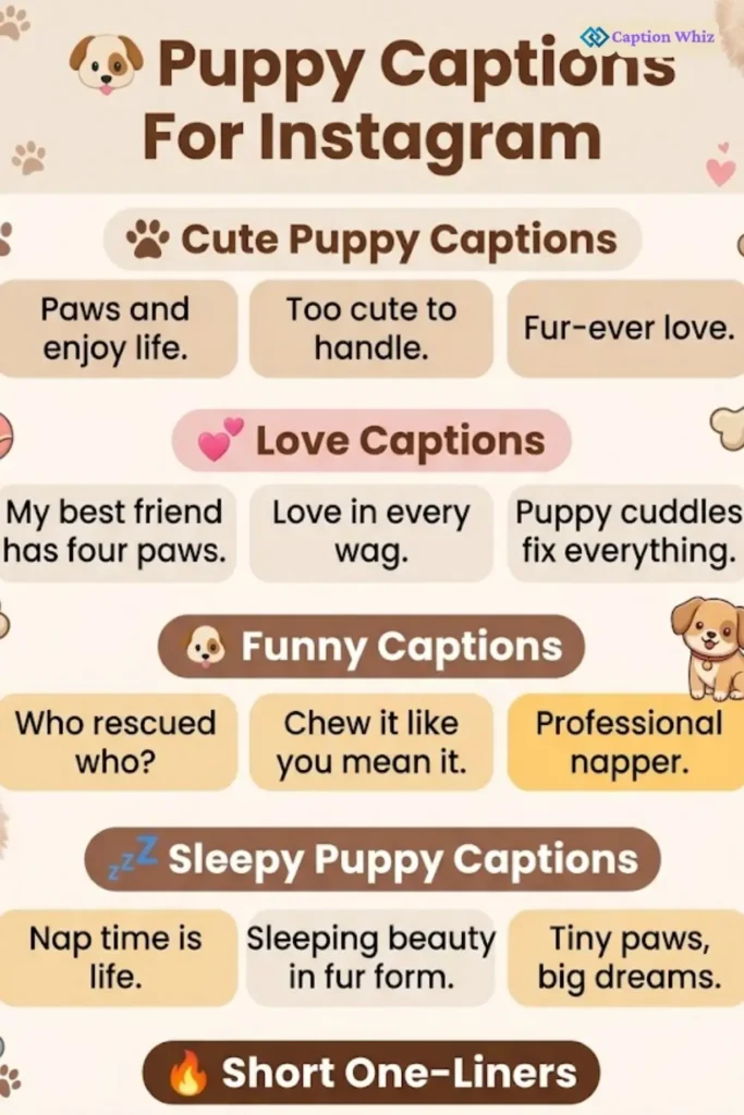 129+ Adorable Puppy Captions For Instagram and Quotes That Will Melt Hearts