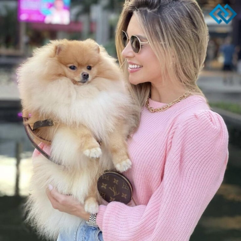 200+ Funny Captions For Dogs On Instagram for Pawsitive Vibes