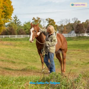 127+ Inspiring Horse Captions For Instagram and Quotes to Share Your Passion in 2026