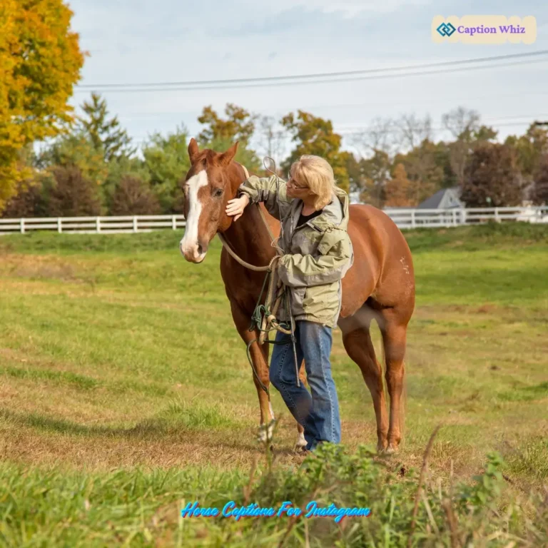 Horse Captions For Instagram