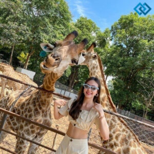 200+ Instagram Zoo Captions for Fun Animal Adventures