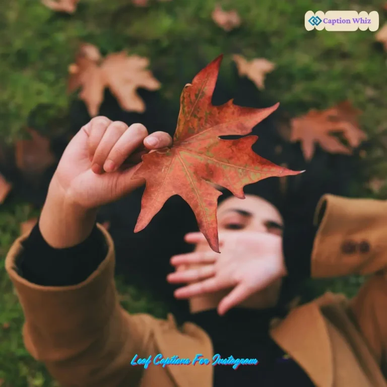 Leaf Captions For Instagram