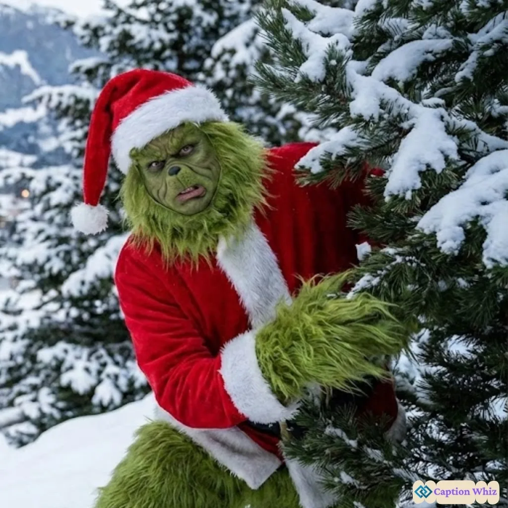 137+ Whimsical Grinch Captions For Instagram and Quotes to Spread Holiday Cheer