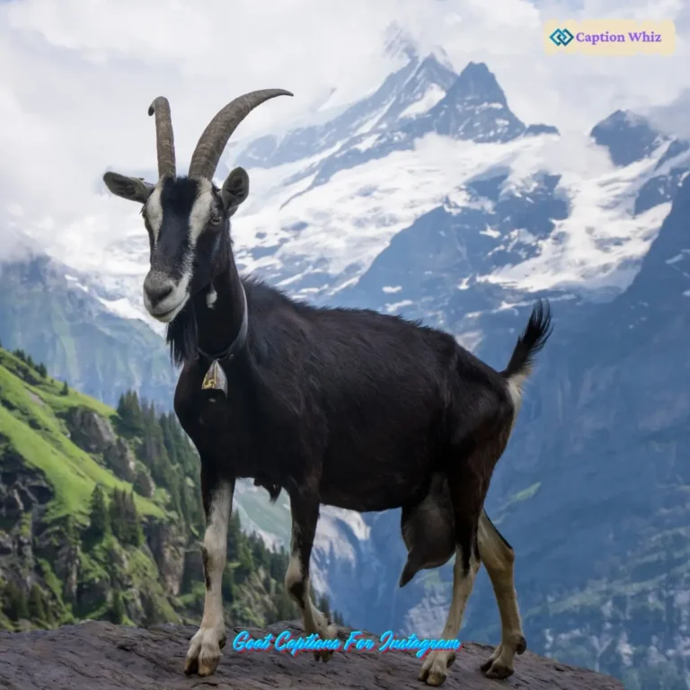 135+ Goat Captions For Instagram To Show Off Legendary Moves And Iconic Vibes