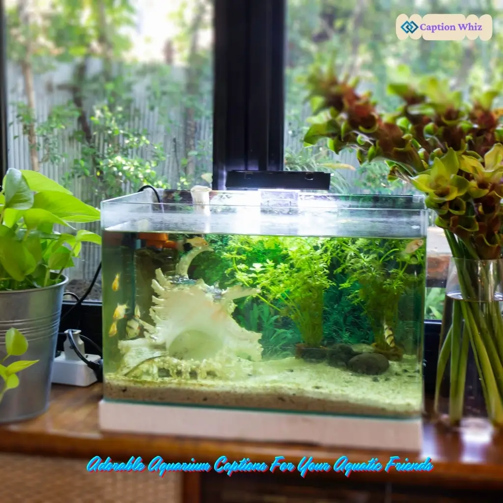 Aquarium Captions For Instagram and Quotes That Spark Joy 135+ and Inspire Wonder