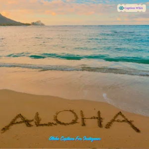 Catch the Vibe with Aloha Captions For Instagram and Quotes 139+ Unique Expressions