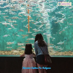 Aquarium Captions For Instagram and Quotes That Spark Joy 135+ and Inspire Wonder