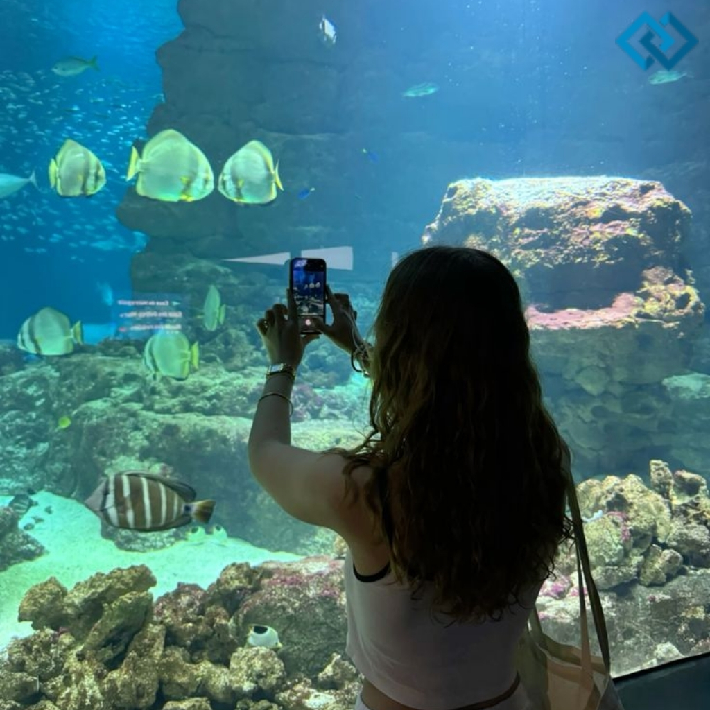 Aquarium Captions For Instagram