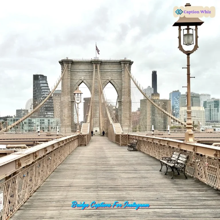 Bridge Captions For Instagram