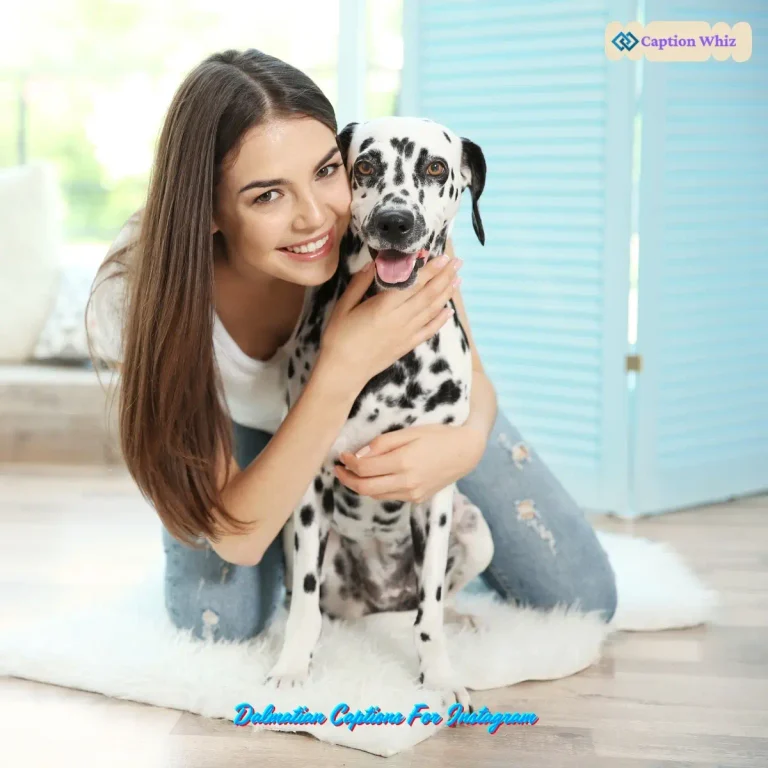 Dalmatian Captions For Instagram
