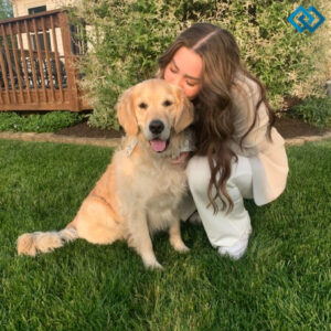 200+ Dog Captions For Instagram to Make Your Pup Shine