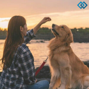 200+ Dog Mom Captions For Instagram to Celebrate Your Pup