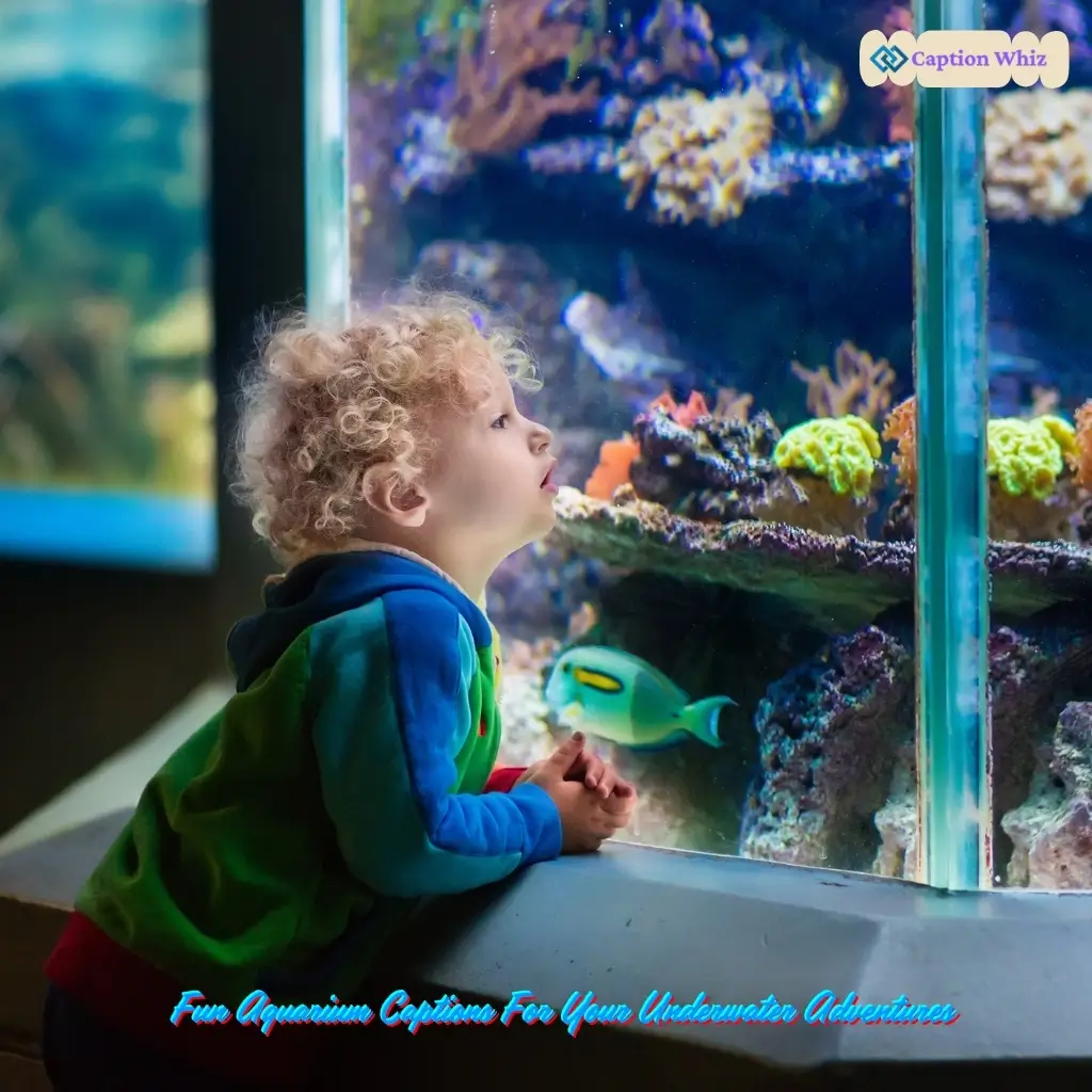 Aquarium Captions For Instagram and Quotes That Spark Joy 135+ and Inspire Wonder