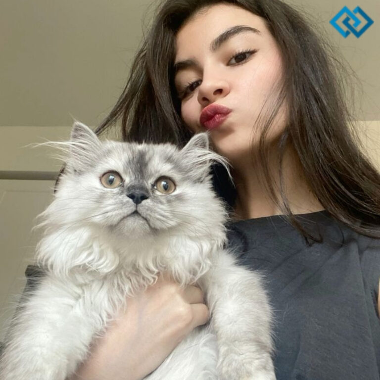 Funny Cat Captions For Instagram Funny Cat Captions For Instagram