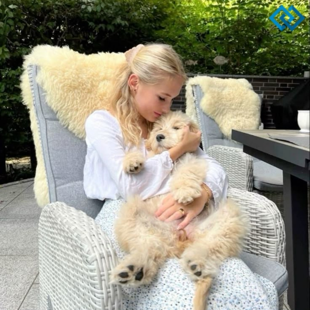 200+ Instagram Captions For Dogs That Will Make You Smile zz 13 Instagram Captions For Dogs