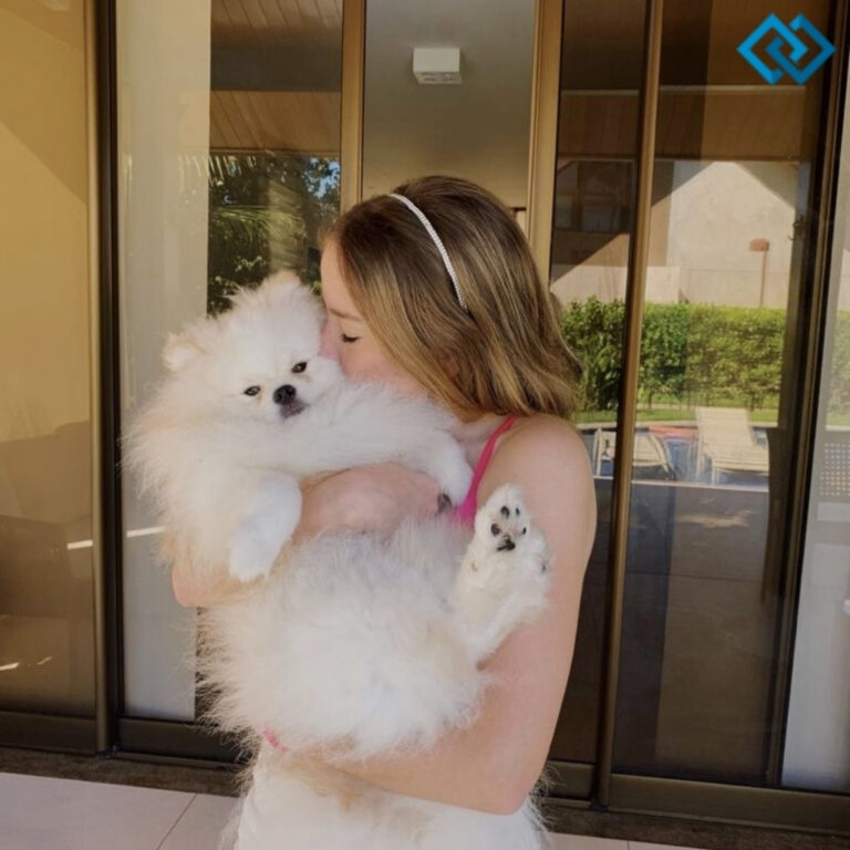 200+ Instagram Captions For New Puppy to Share Your Joy