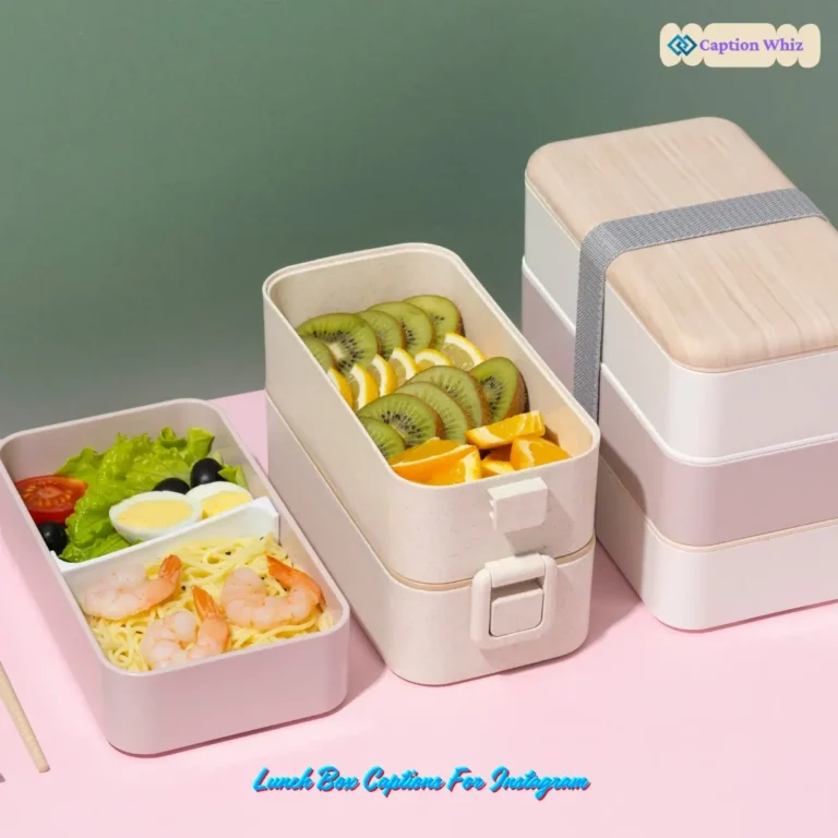 Lunch Box Captions For Instagram