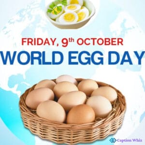 200+ National Egg Day Captions for Fun and Creativity