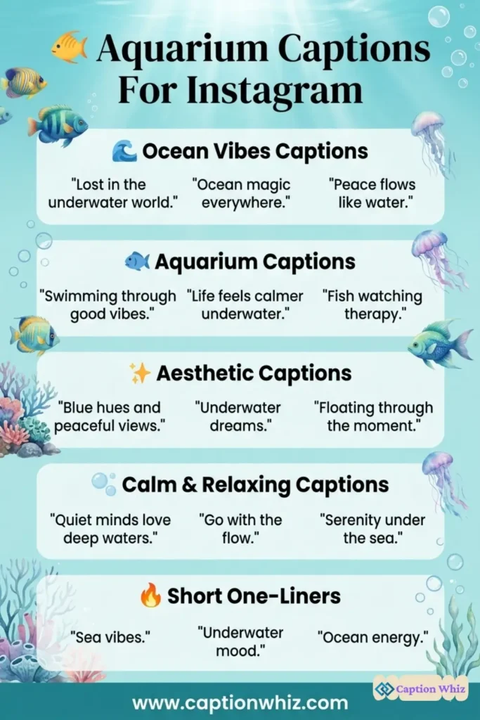 Aquarium Captions For Instagram and Quotes That Spark Joy 135+ and Inspire Wonder