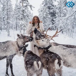 200+ Reindeer Instagram Captions for Festive Cheer and Fun