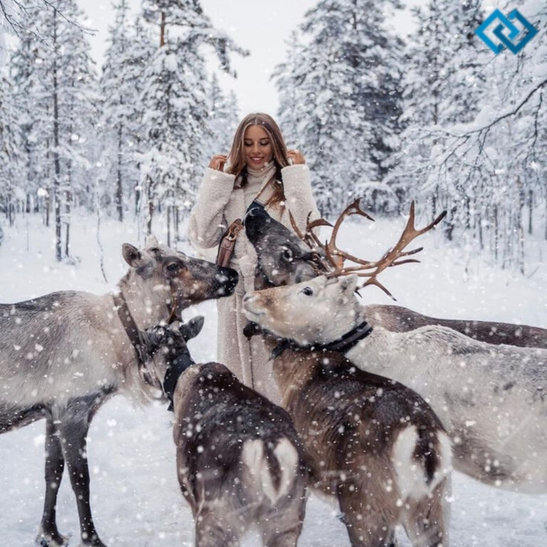 Reindeer Instagram Captions