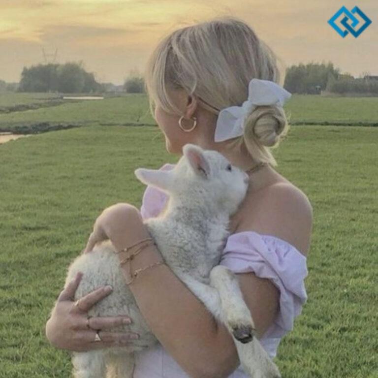 Sheep Instagram Captions