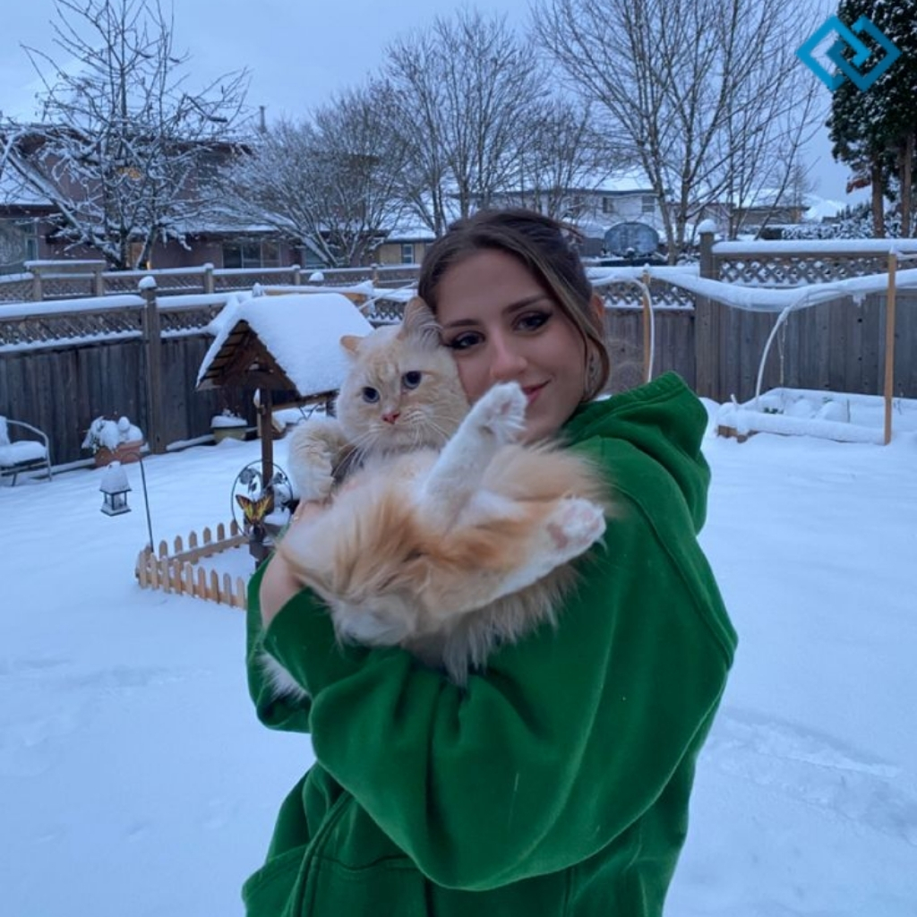 Short Cat Captions For Instagram