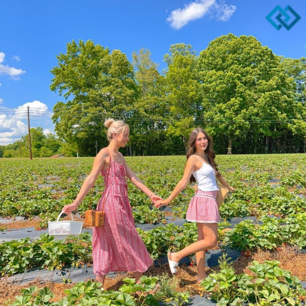 Strawberry Picking Instagram Captions