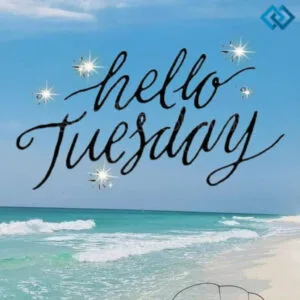 Boost Your Vibe with 139+ Tuesday Captions For Instagram That Shine Bright