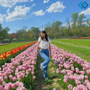 147+ Beautiful Tulip Captions For Instagram Full Of Spring Feels