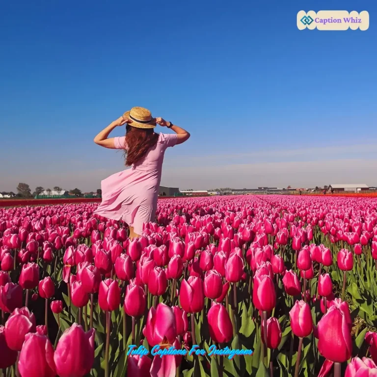 Tulip Captions For Instagram