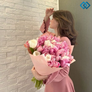 200+ Tulips Instagram Captions for Flower Lovers and Enthusiasts