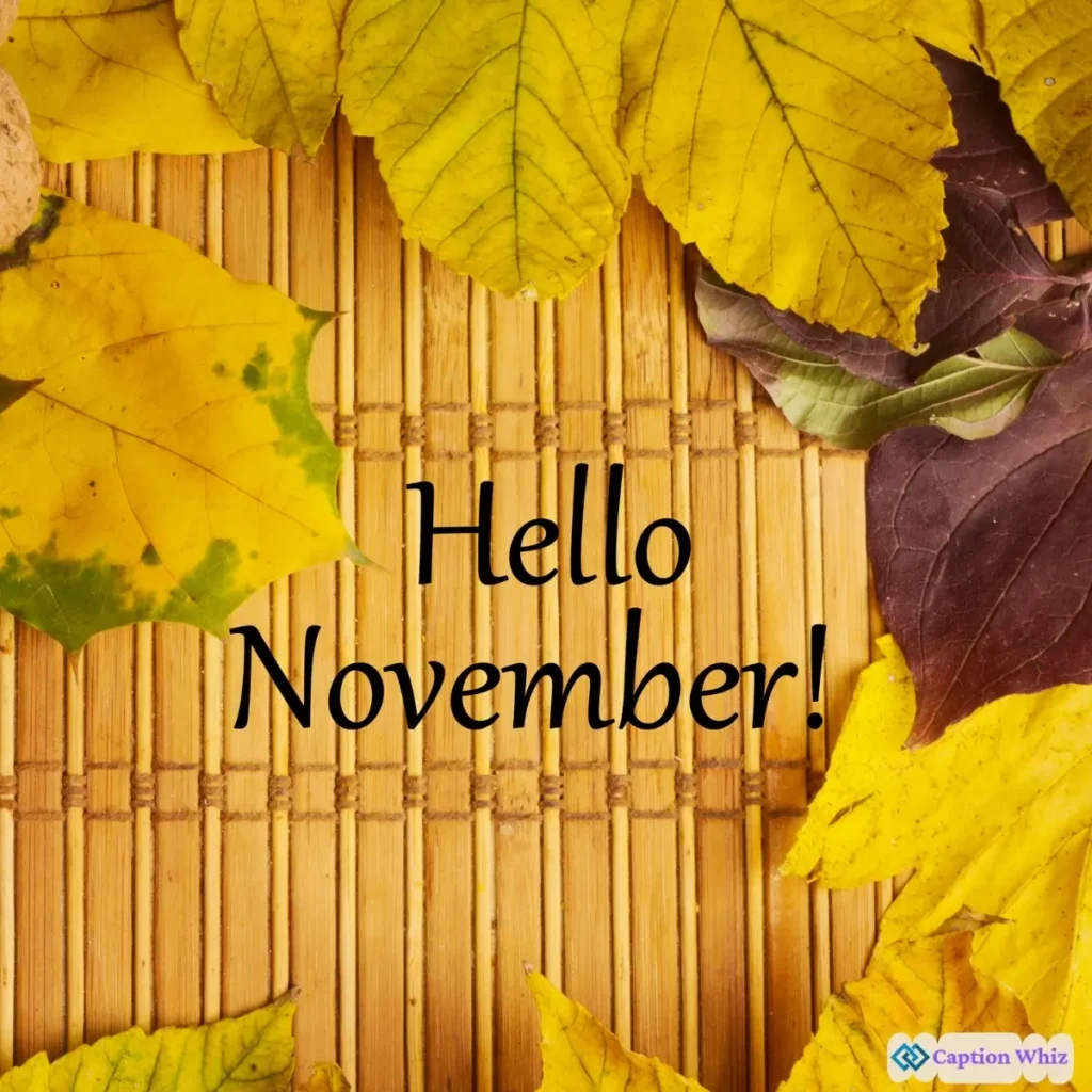 127+ Unforgettable November Captions For Instagram And Quotes To Inspire You