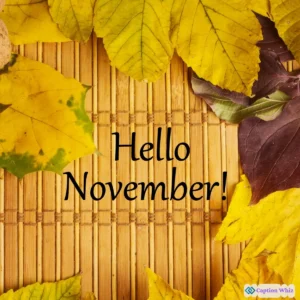 127+ Unforgettable November Captions For Instagram And Quotes To Inspire You
