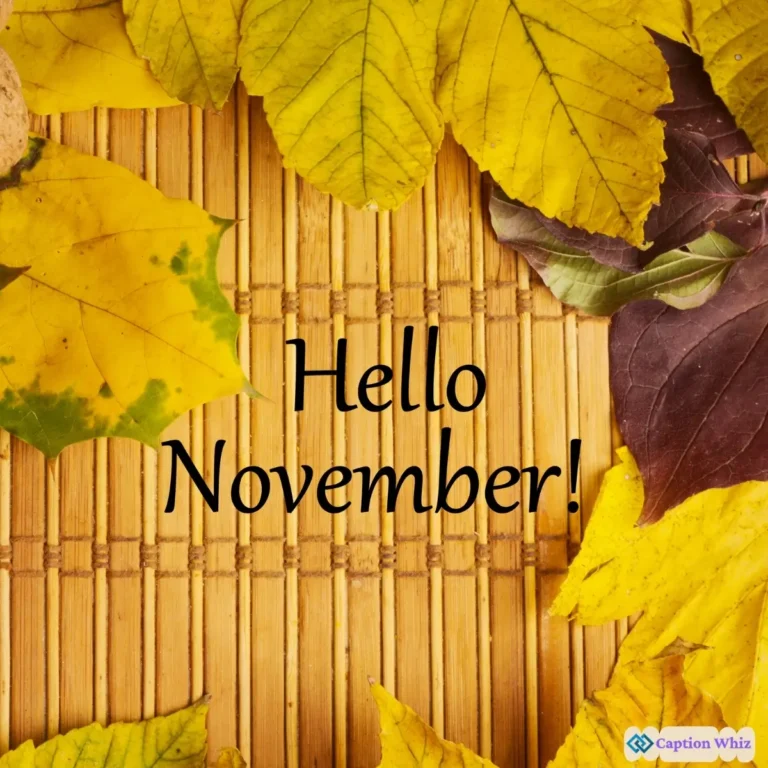 127+ Unforgettable November Captions For Instagram And Quotes To Inspire You