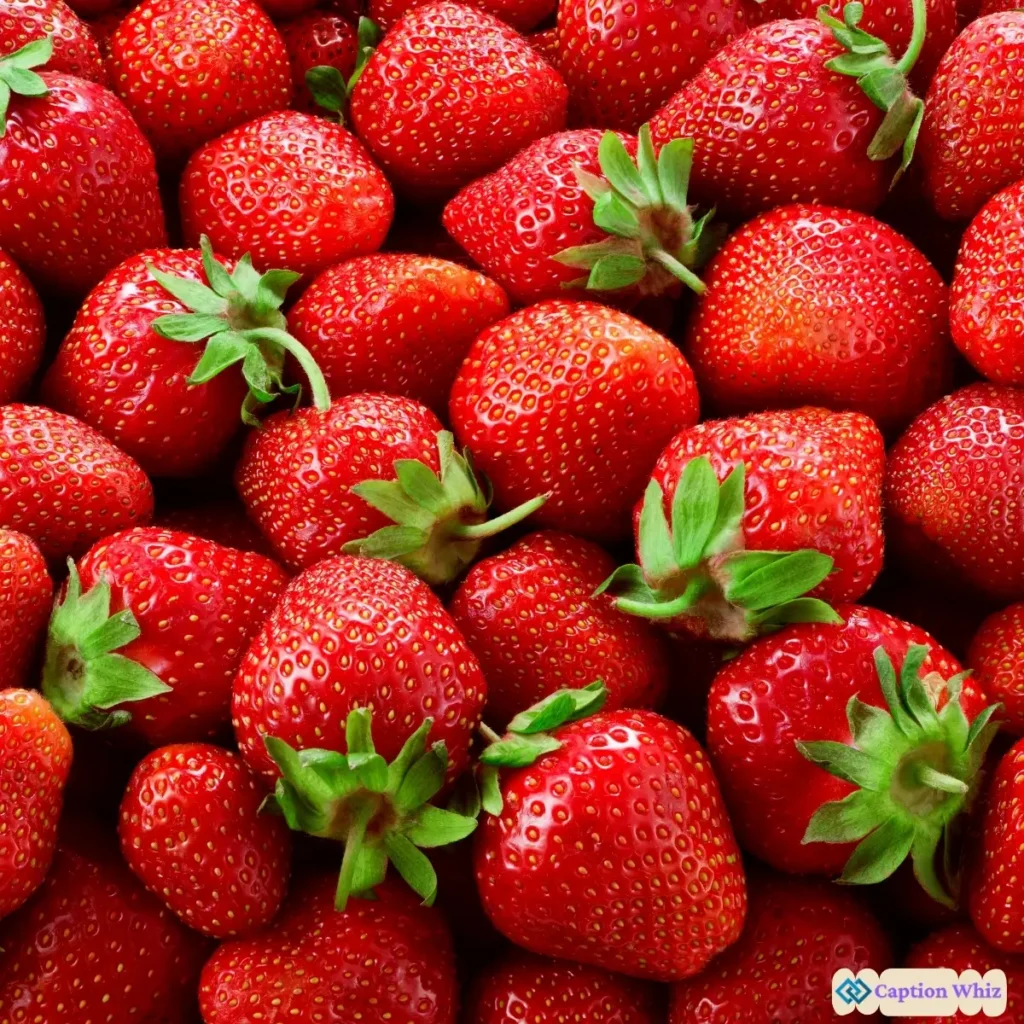 137+ Irresistible Strawberry Captions For Instagram and Quotes You Can't Miss