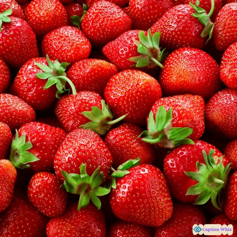 137+ Irresistible Strawberry Captions For Instagram and Quotes You Can't Miss