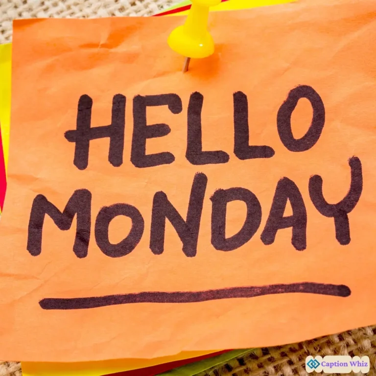 143+ Must-Have Monday Captions For Instagram and Inspiring Quotes for Your Week