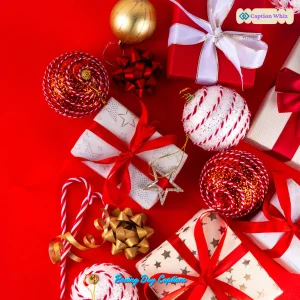 149+ Boxing Day Captions for Your Perfect Holiday Posts