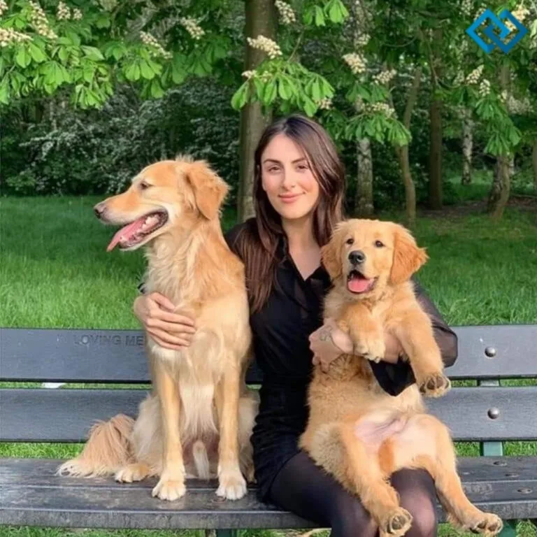 127+ Caption For Dogs On Instagram to Make Your Posts Shine