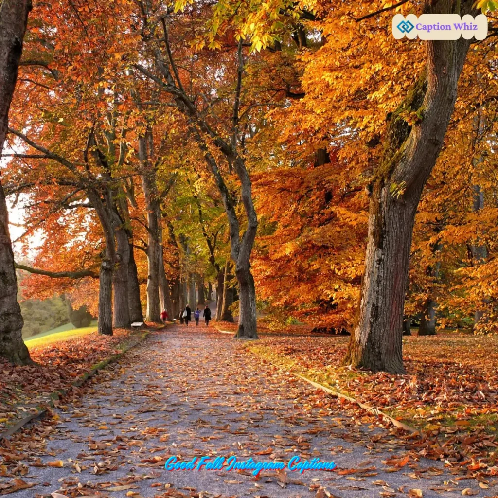 143+ Good Fall Instagram Captions for Cozy Autumn Vibes