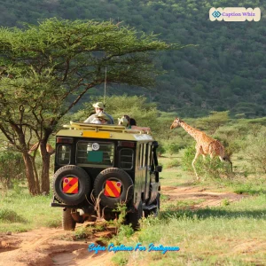 123+ Safar Captions For Instagram to Inspire Your Adventures