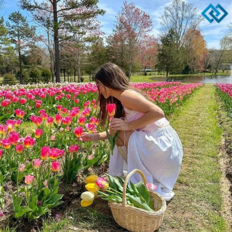 Spring Instagram Captions