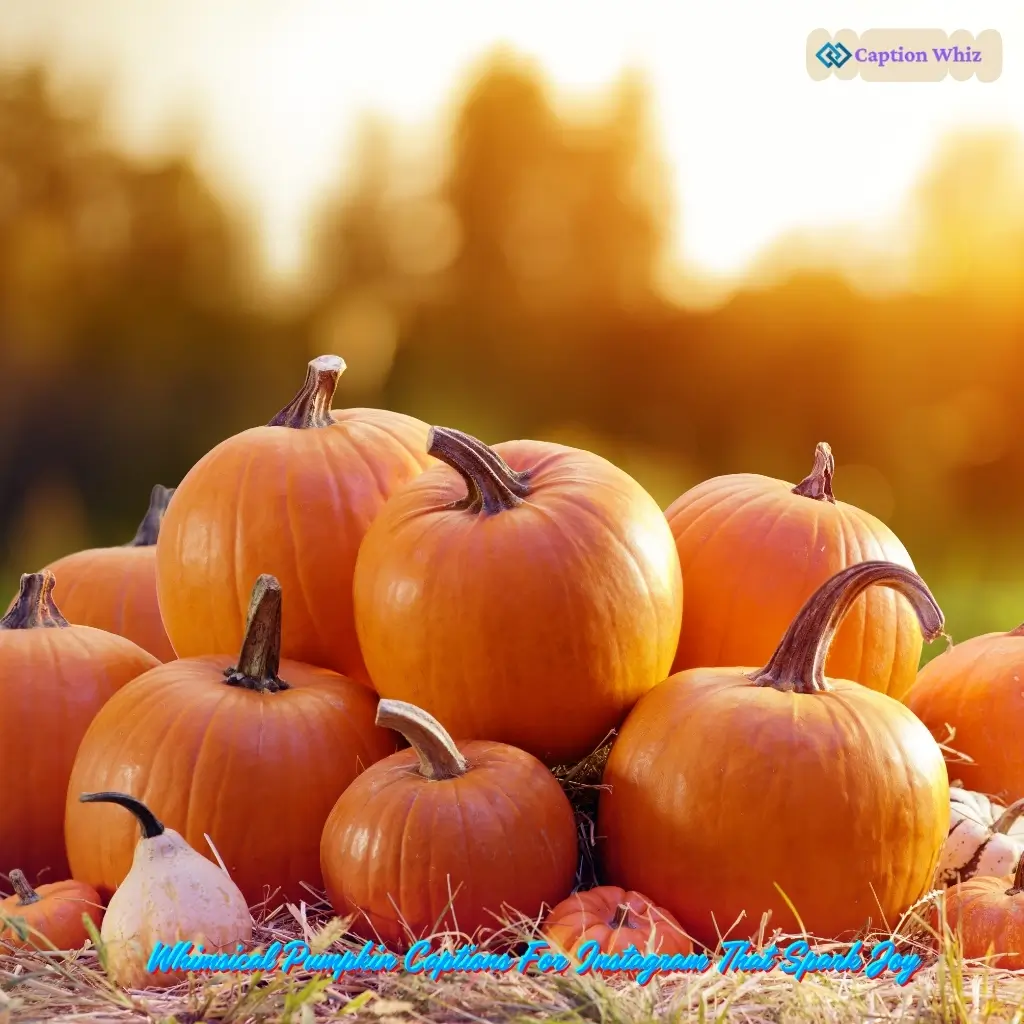 147+ Best Pumpkin Captions For Instagram To Celebrate Fall Vibes And Cozy Moments