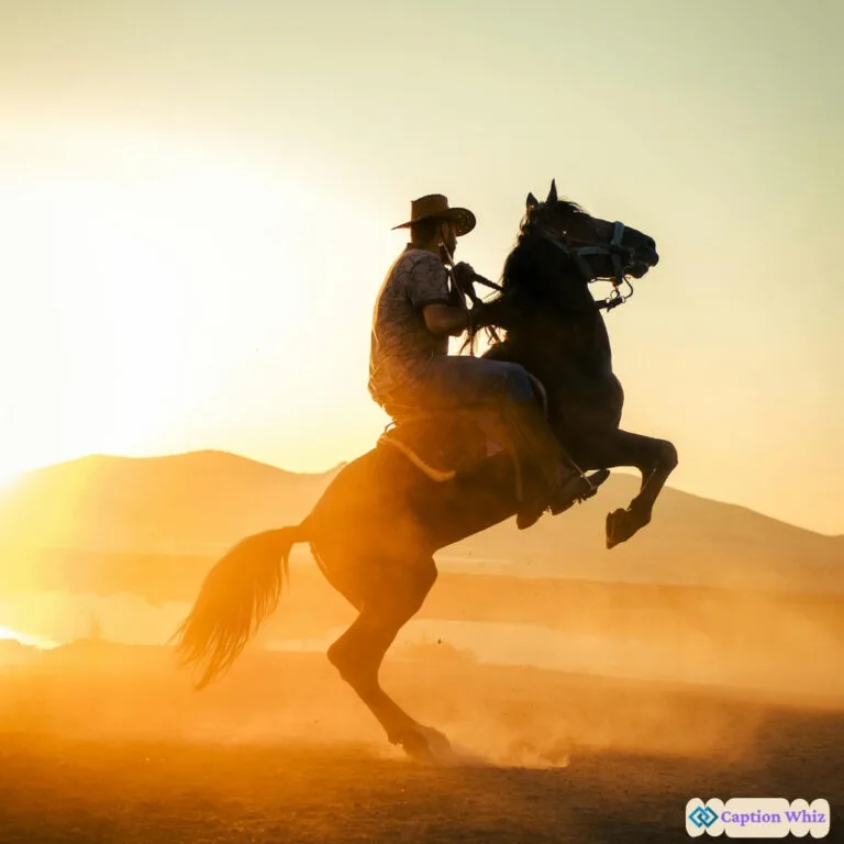 127+ Must-Have Cowboy Captions For Instagram and Quotes That Capture Your Spirit