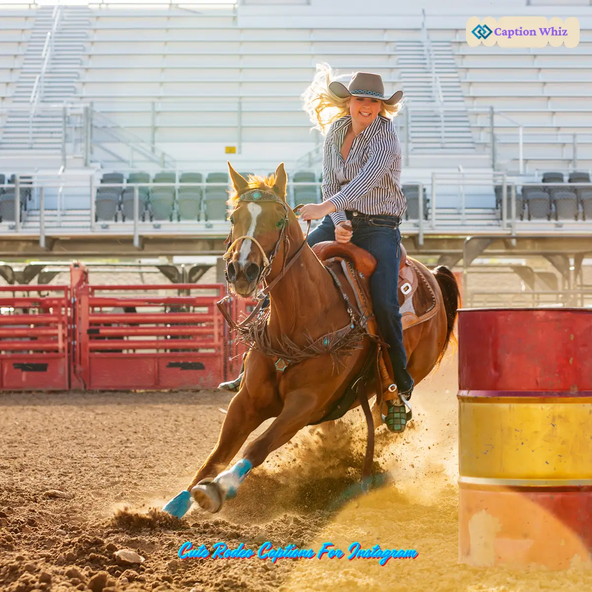 137+ Cute Rodeo Captions For Instagram That Shine Bright